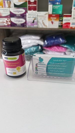بوبيوتيك الأمعاء probiotiques intestinaux